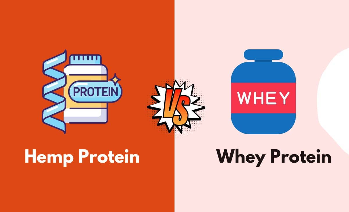 Difference Between Hemp Protein and Whey Protein