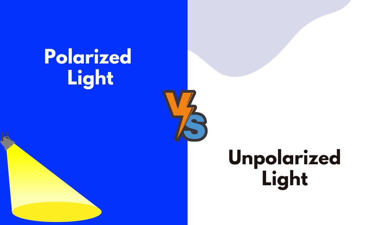 Difference Between Polarized Light and Unpolarized Light