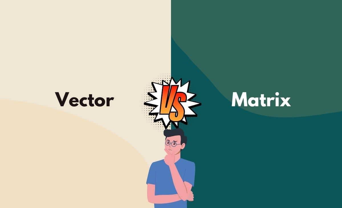 Difference Between Vector and Matrix