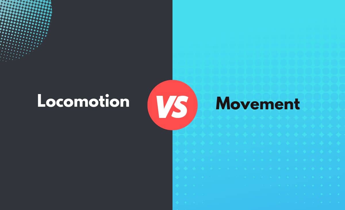 Difference Between Locomotion and Movement