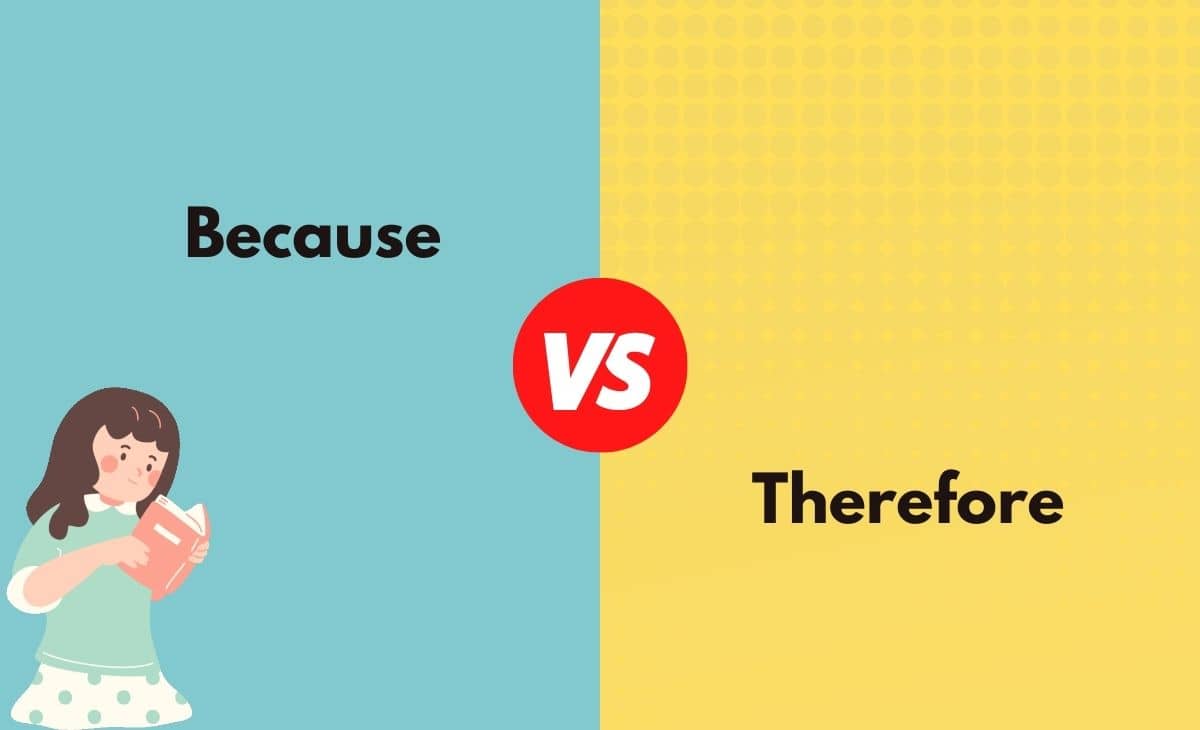 Difference Between Because and Therefore