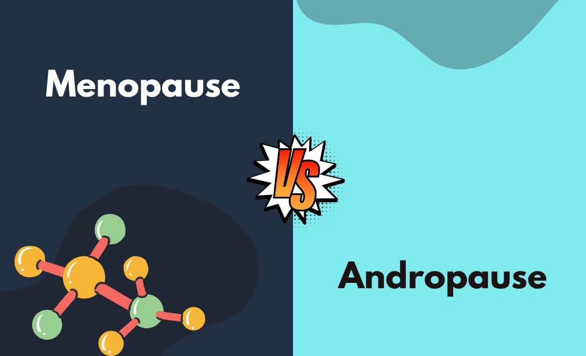 Difference Between Menopause and Andropause