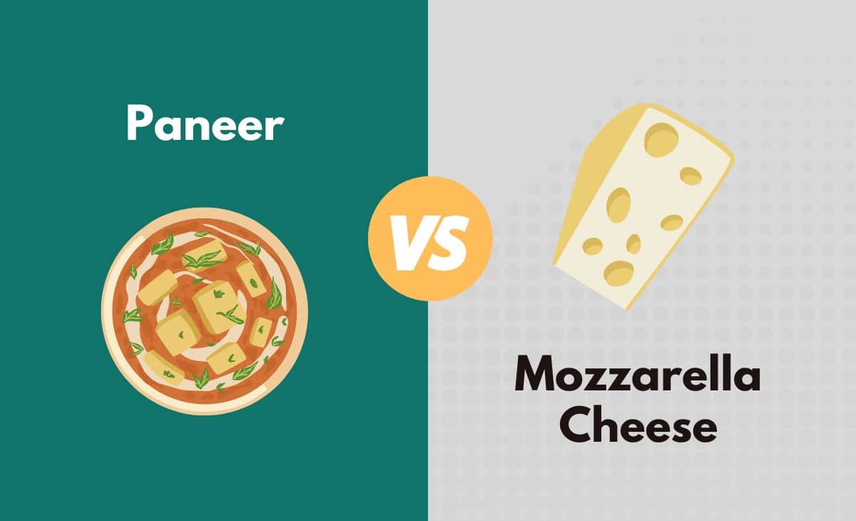 Difference Between Paneer and Mozzarella Cheese