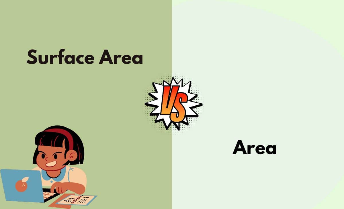 Difference Between Surface Area and Area