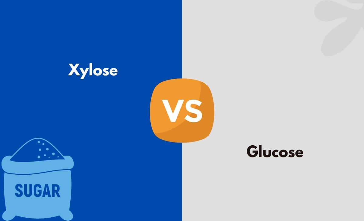 Difference Between Xylose and Glucose