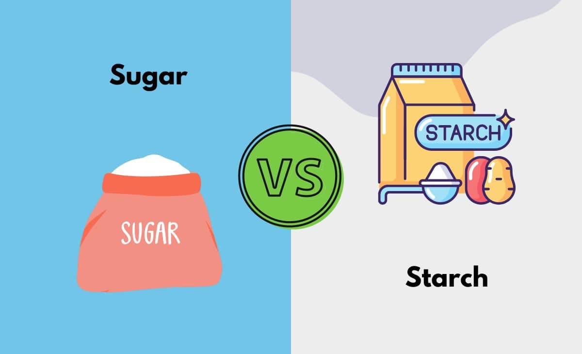 Difference Between Sugar and Starch