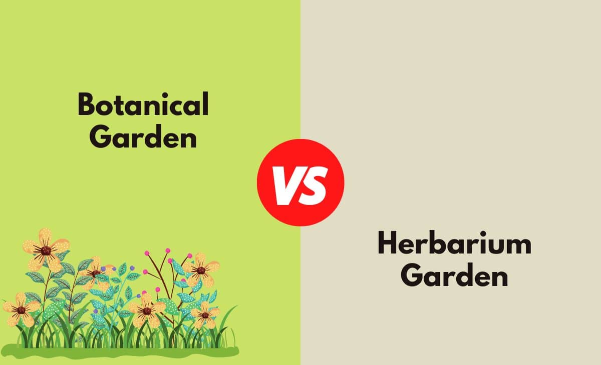 Difference Between Botanical Garden and Herbarium Garden