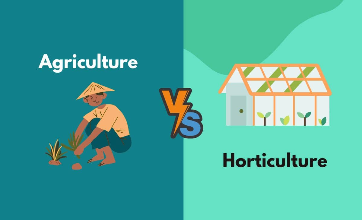 Difference Between Agriculture and Horticulture