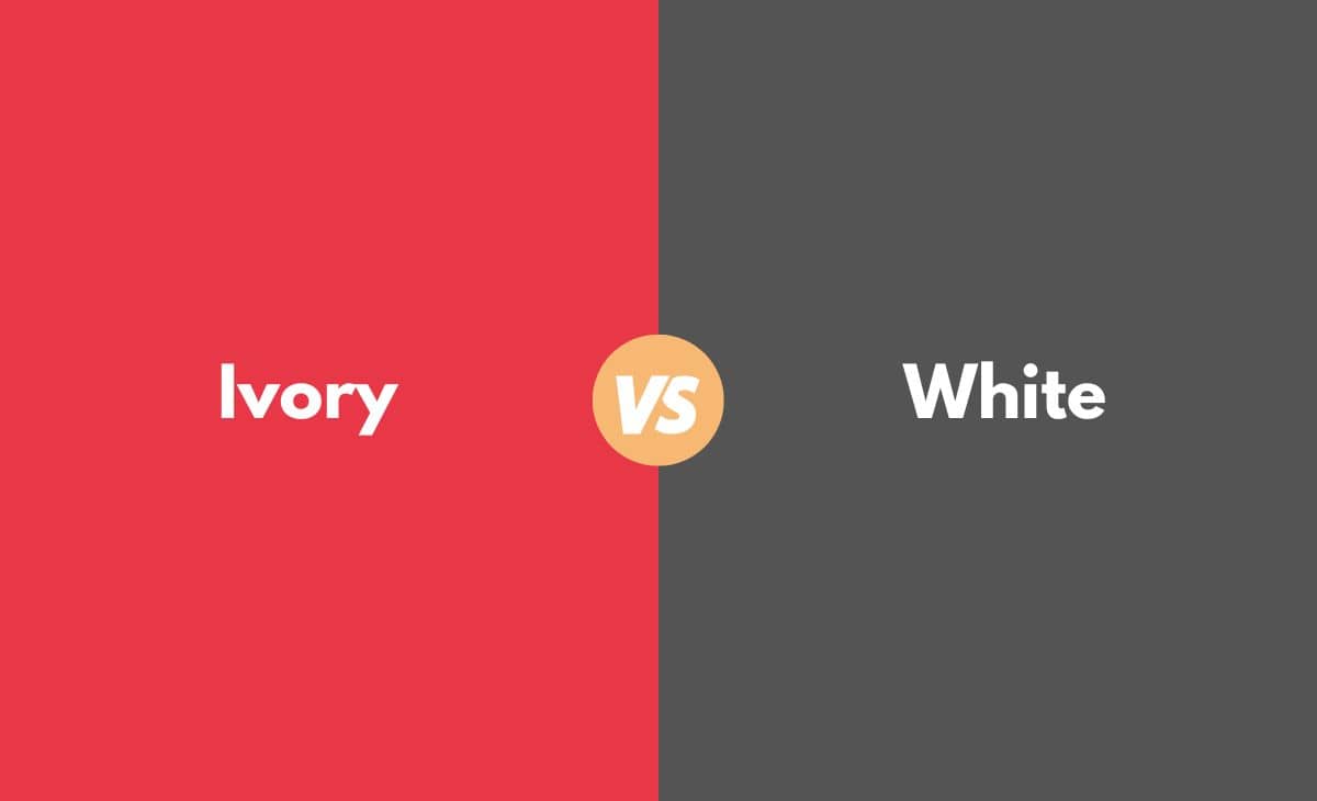 Difference Between Ivory and White