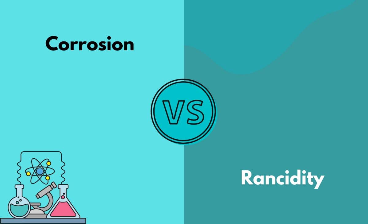 Difference Between Corrosion and Rancidity