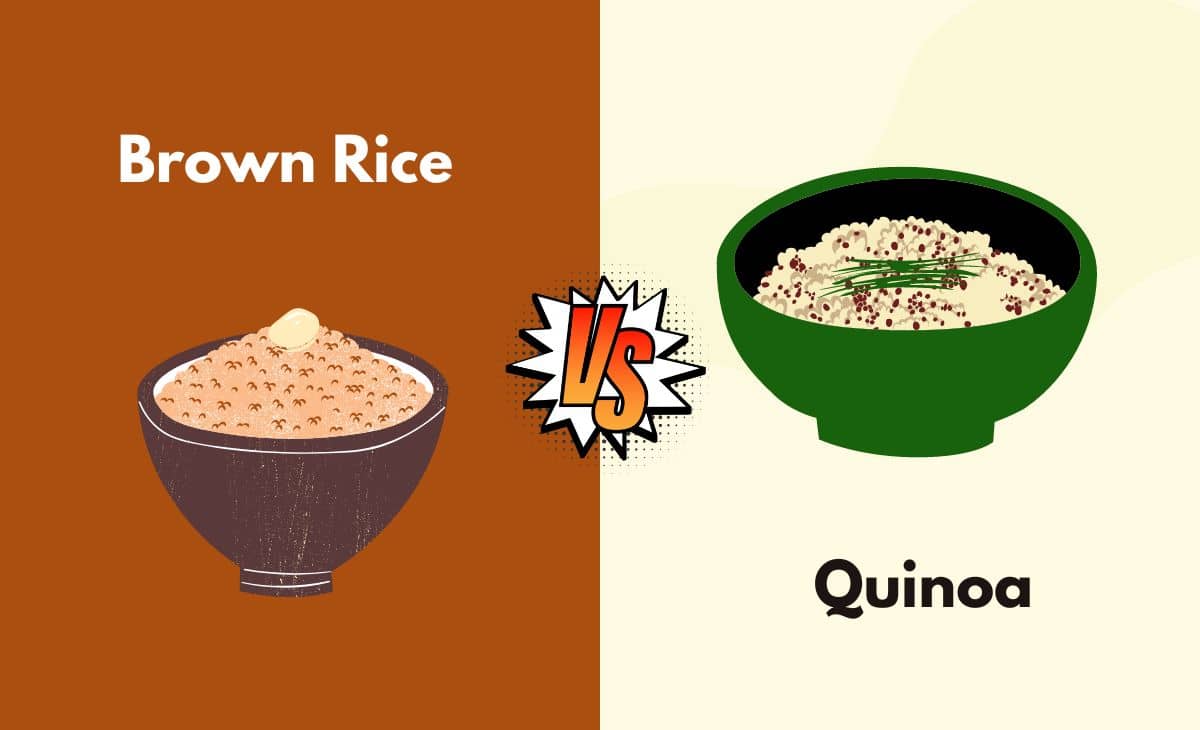 Difference Between Brown Rice and Quinoa