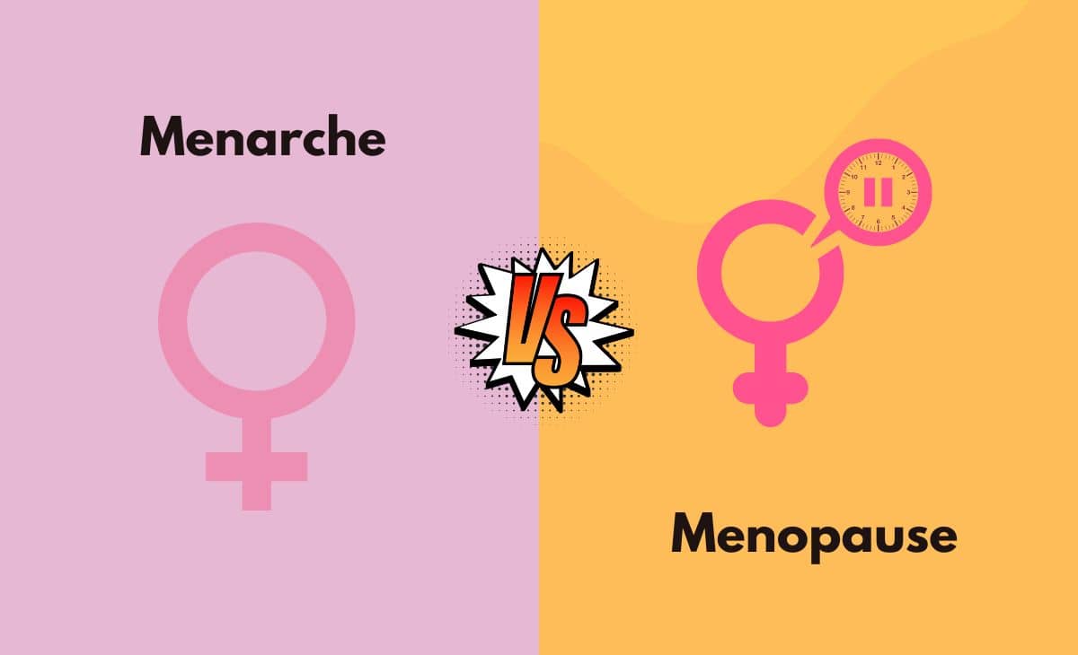 Difference Between Menarche and Menopause