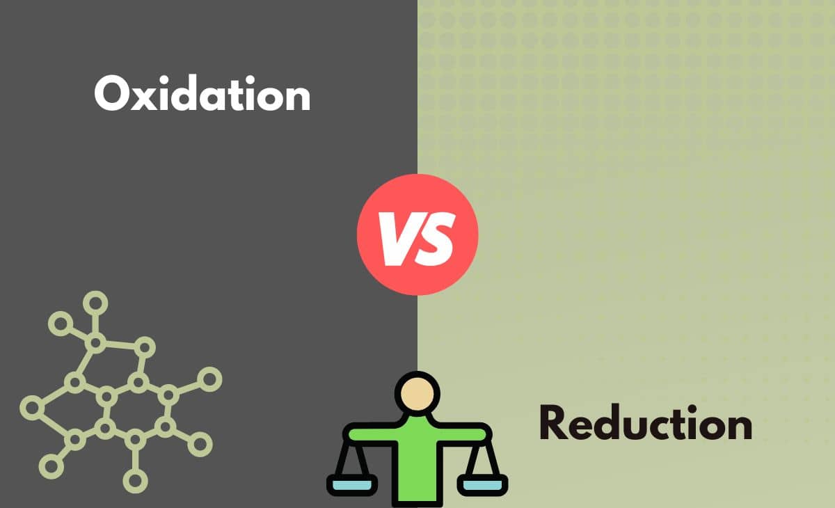 Difference Between Oxidation and Reduction