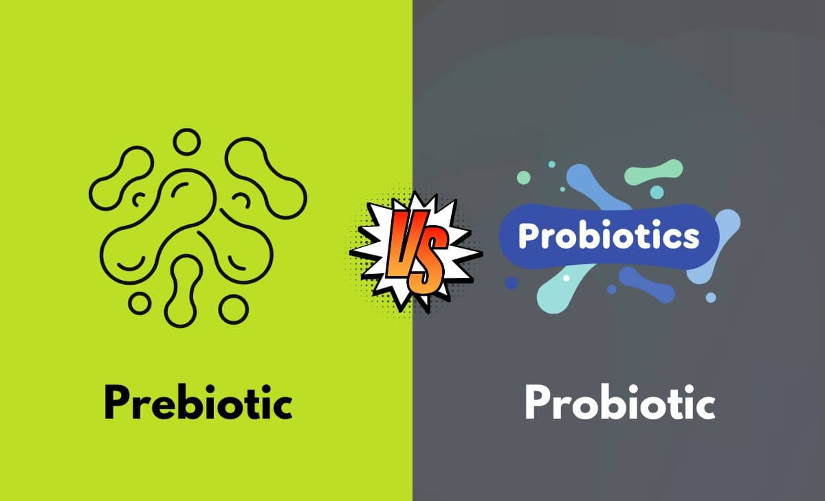 Difference Between Prebiotic and Probiotic