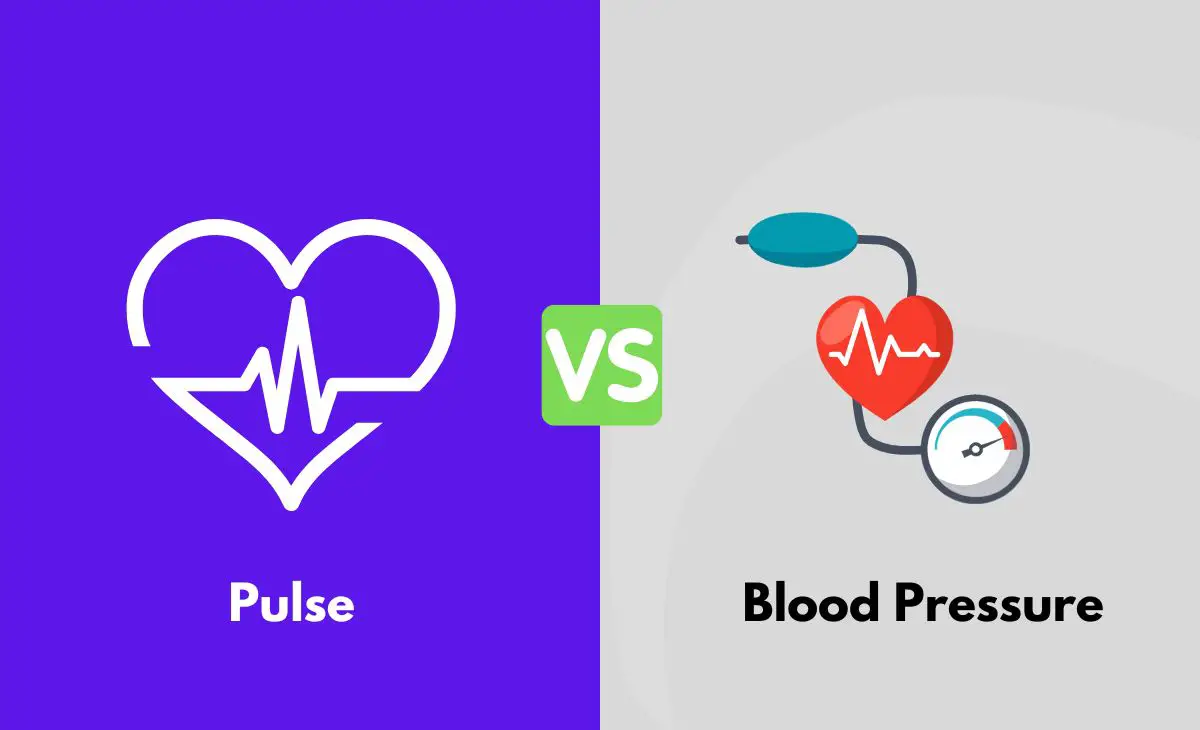 Difference Between Pulse and Blood Pressure