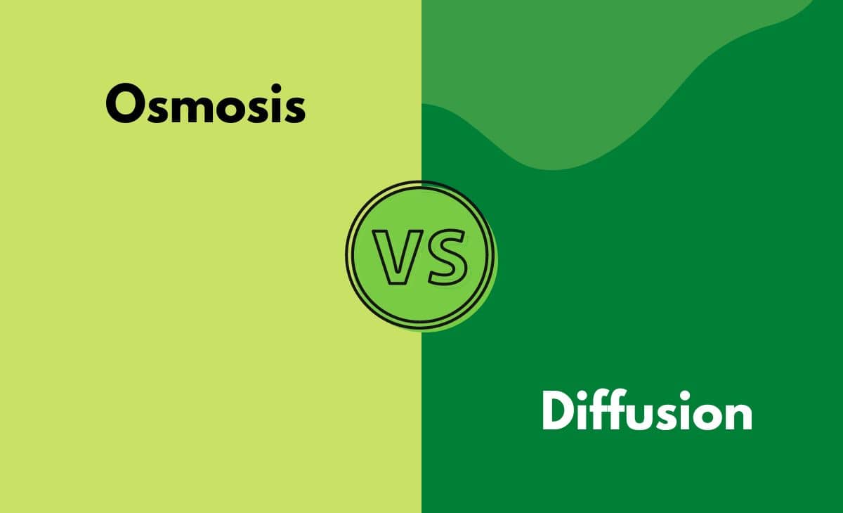 Difference Between Osmosis and Diffusion