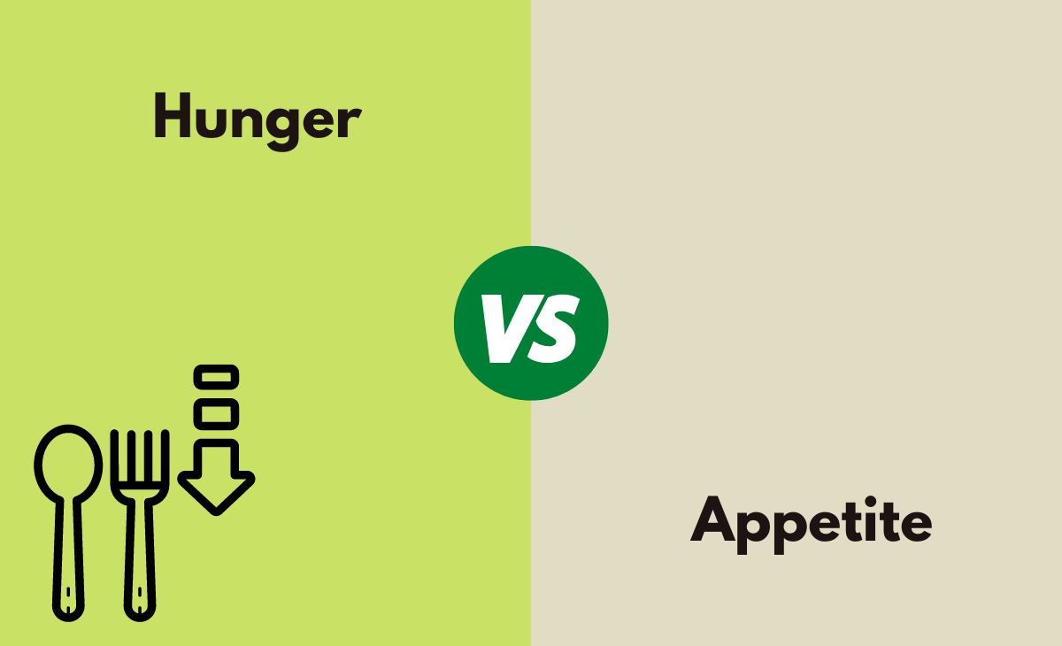 Difference Between Hunger and Appetite