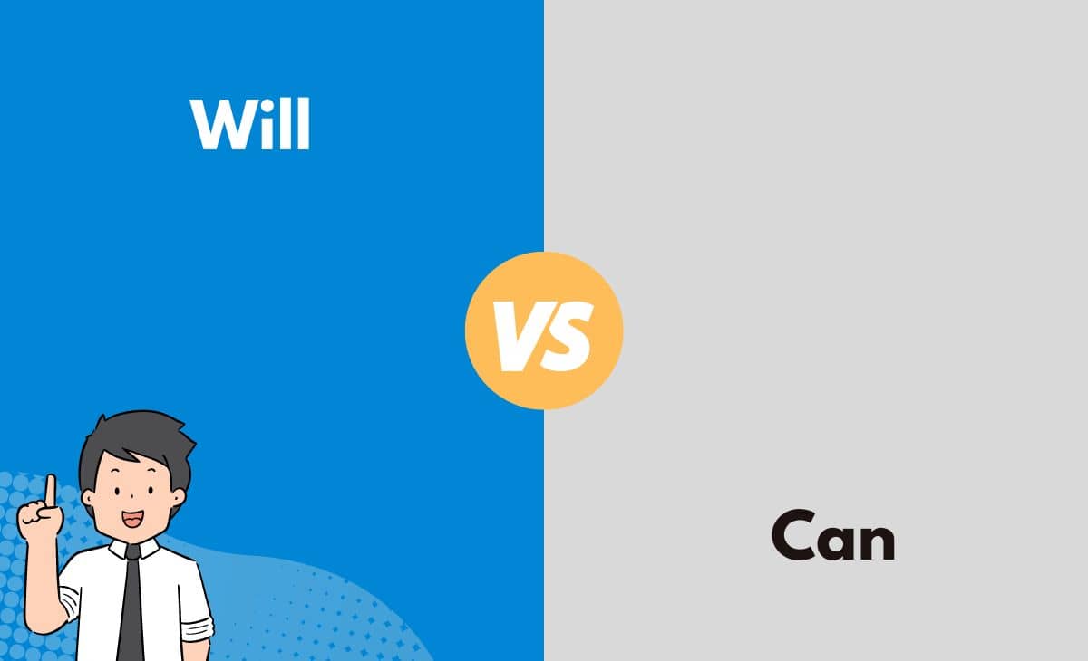 Difference Between Will and Can