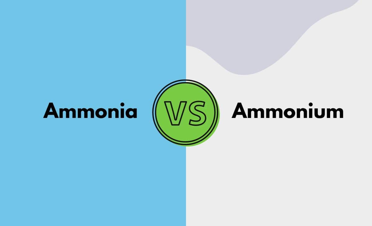 Difference Between Ammonia and Ammonium