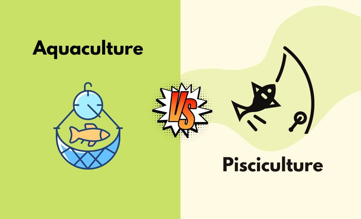 Difference Between Aquaculture and Pisciculture