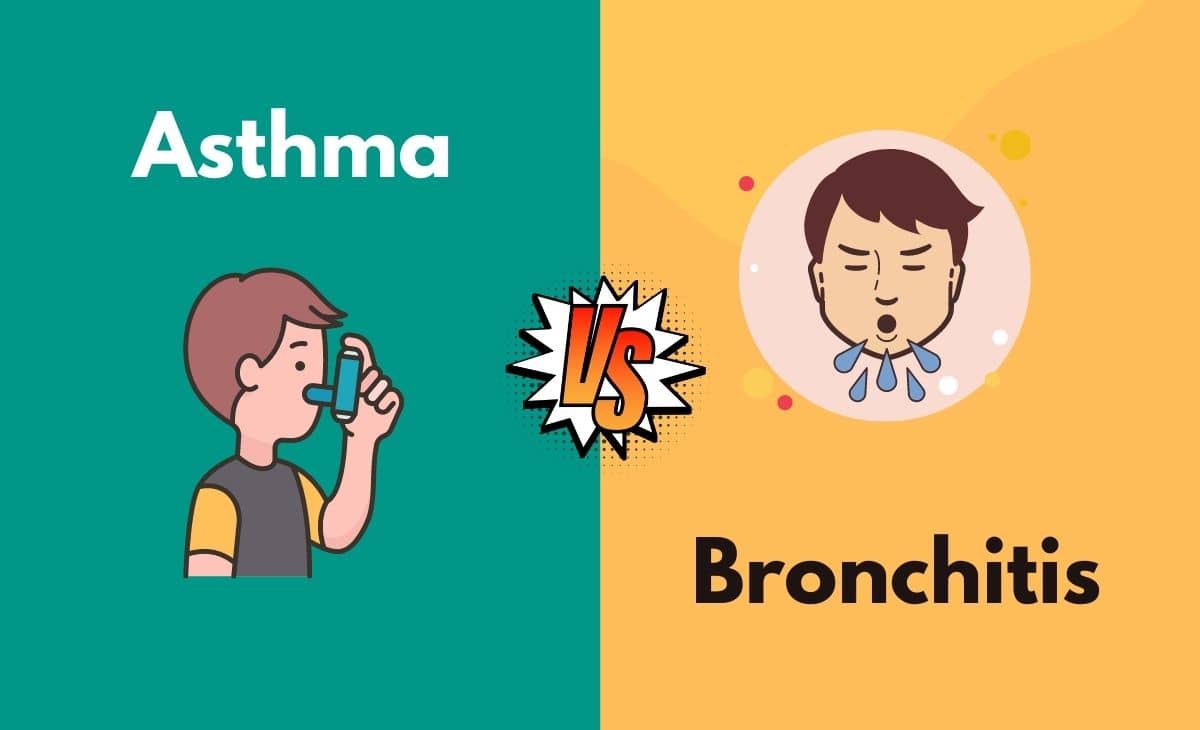 Difference Between Asthma and Bronchitis