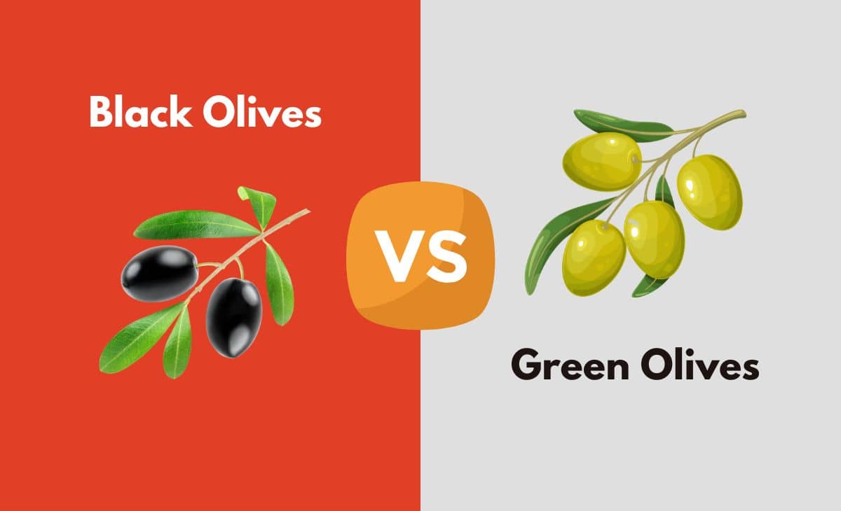 Difference Between Black and Green Olives