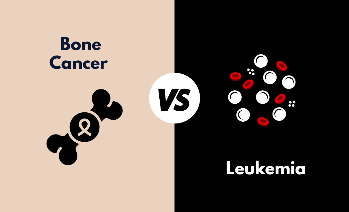 Difference Between Bone Cancer and Leukemia