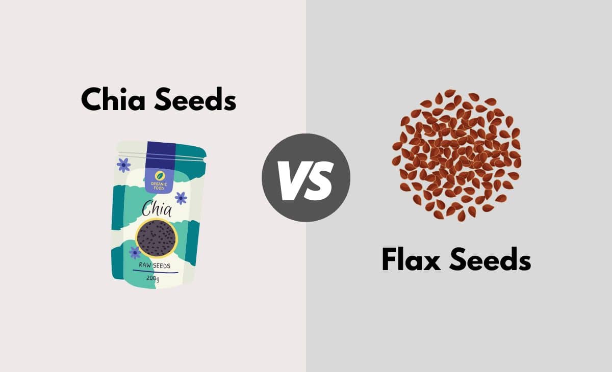 Difference Between Chia Seeds and Flax Seeds