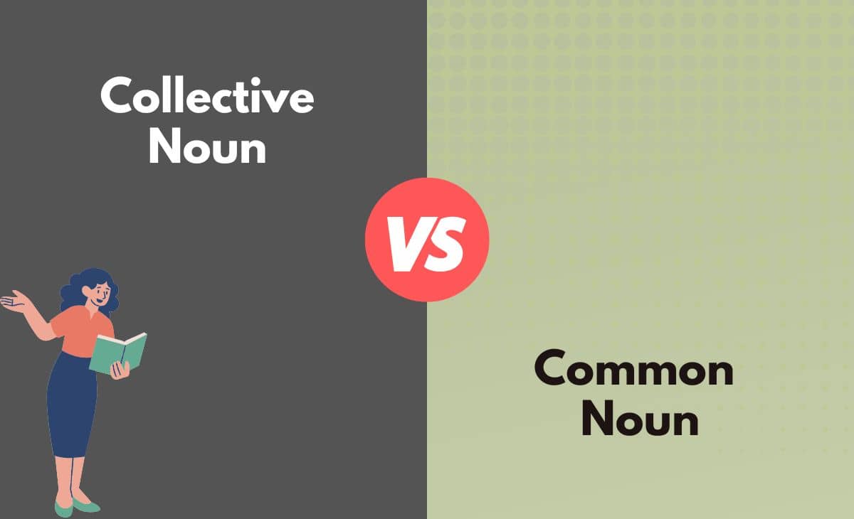 Difference Between Collective Noun and Common Noun