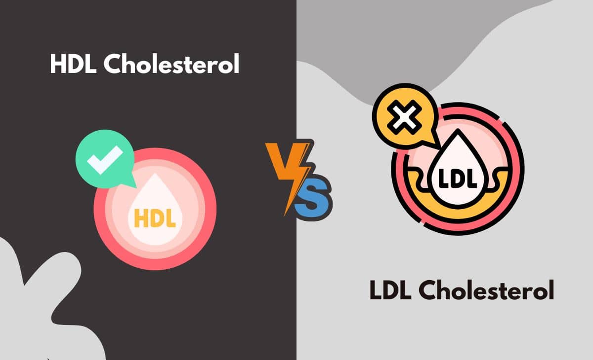 Difference Between HDL and LDL Cholesterol