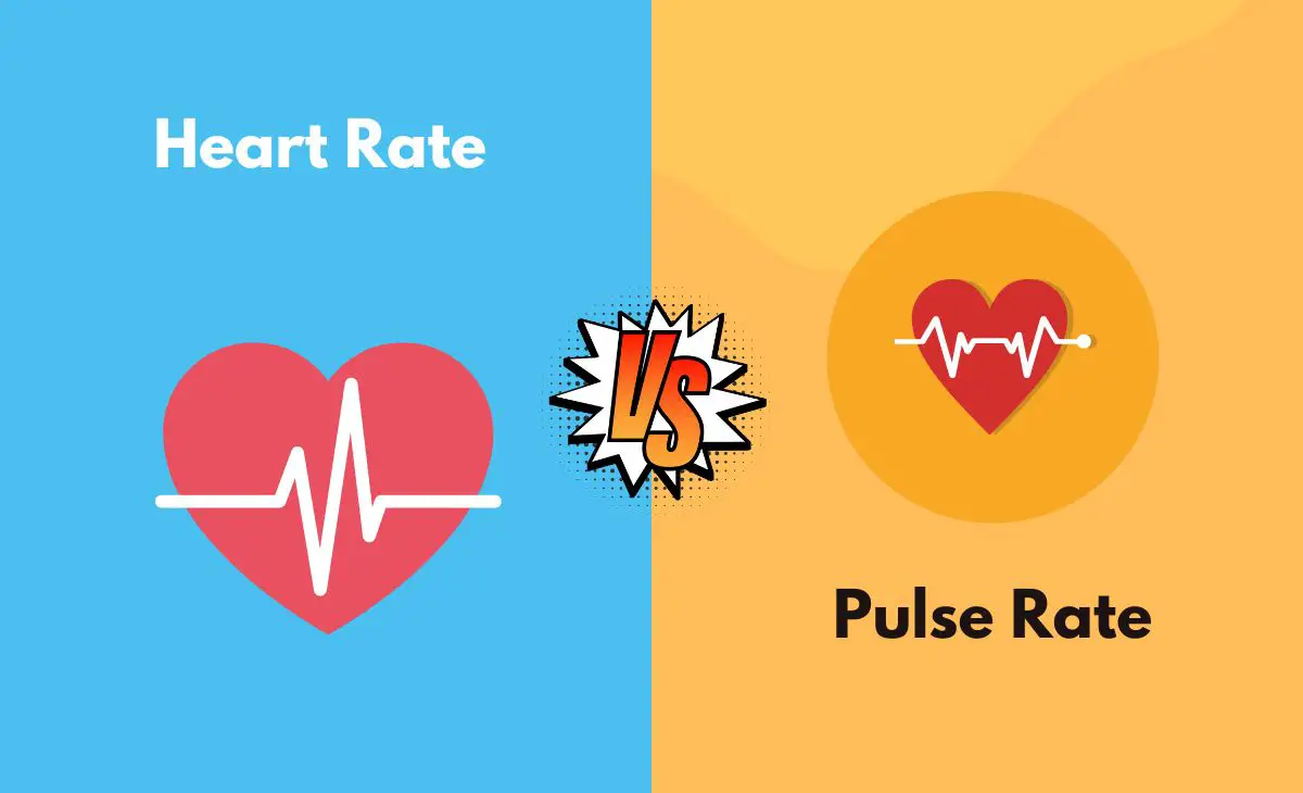 Difference Between Heart Rate and Pulse Rate