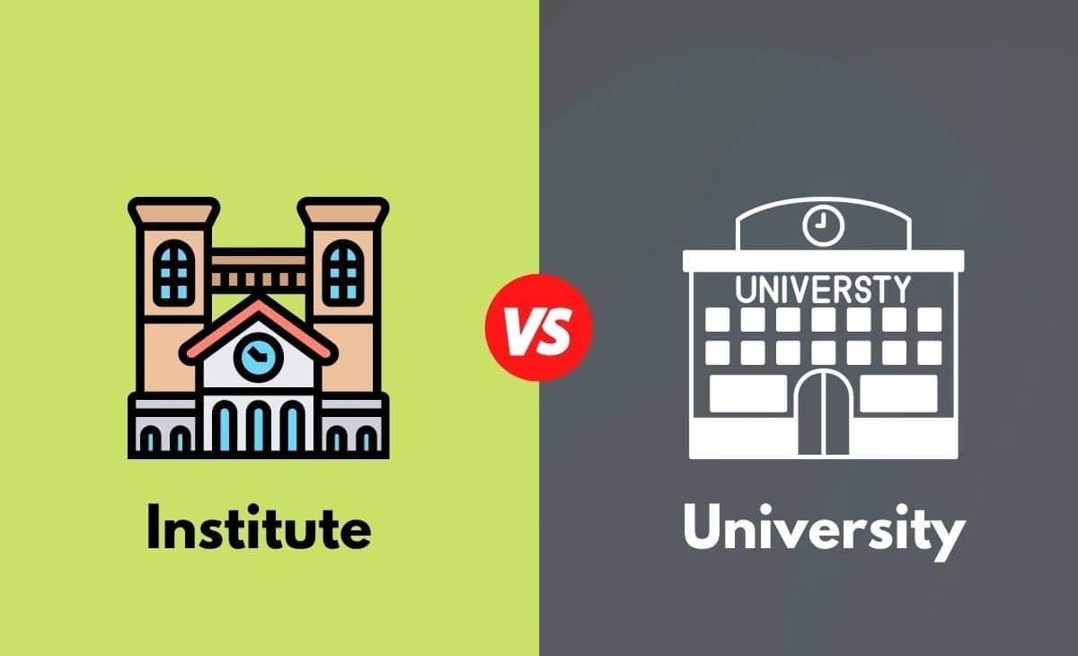 Difference Between Institute and University