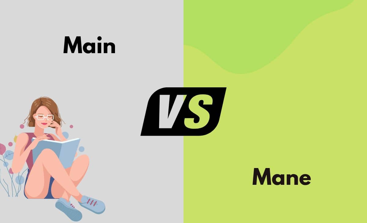 Difference Between Main, Mane and Maine