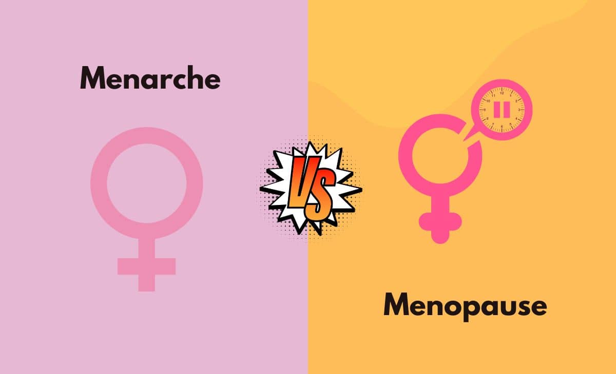Menarche Vs Menopause What S The Difference With Table