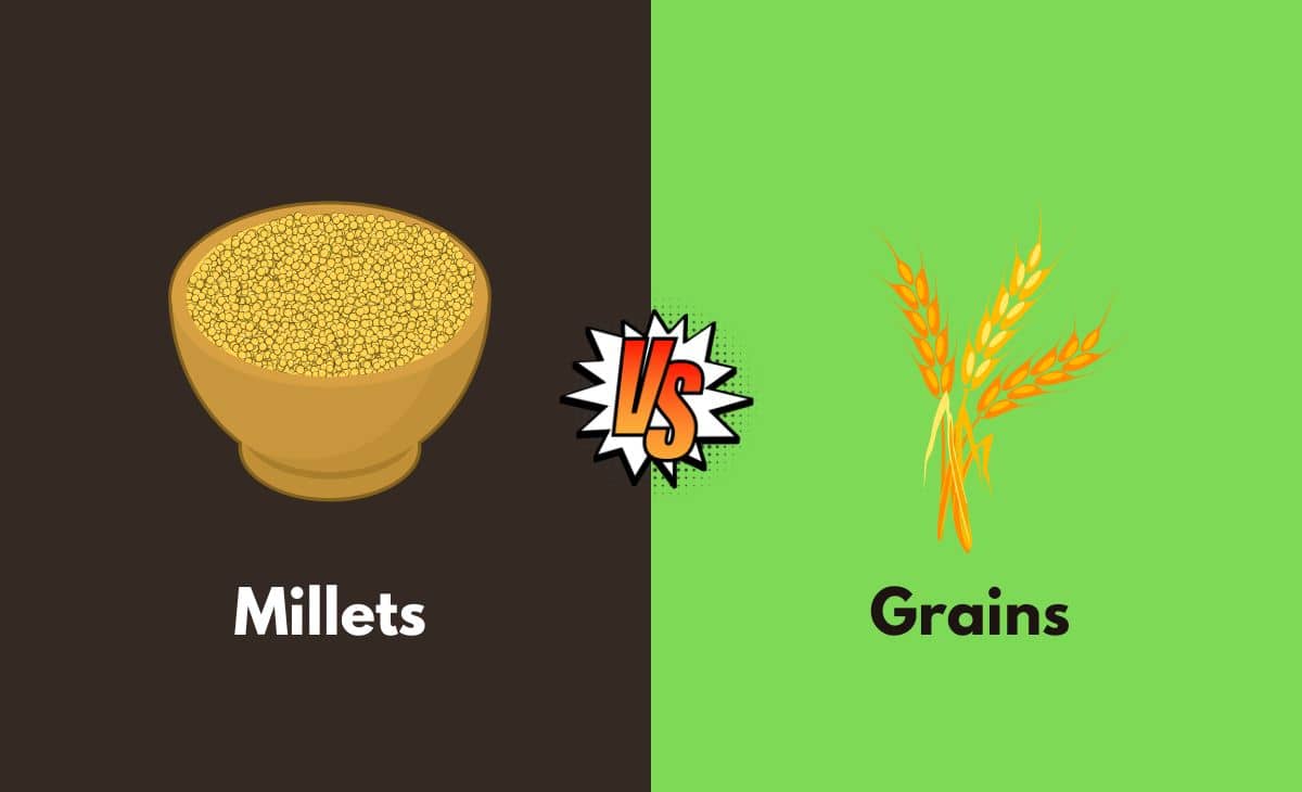 Difference Between Millets and Grains