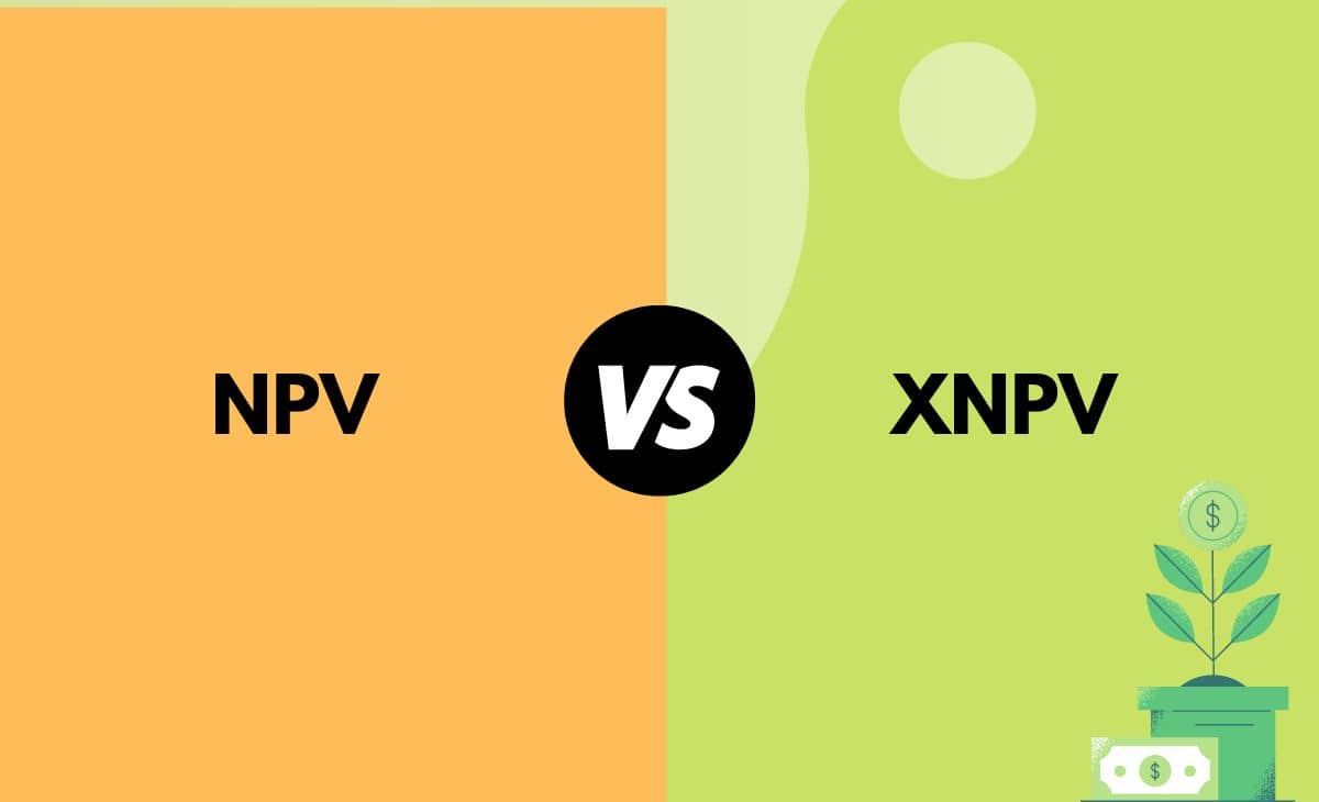 Difference Between NPV and XNPV