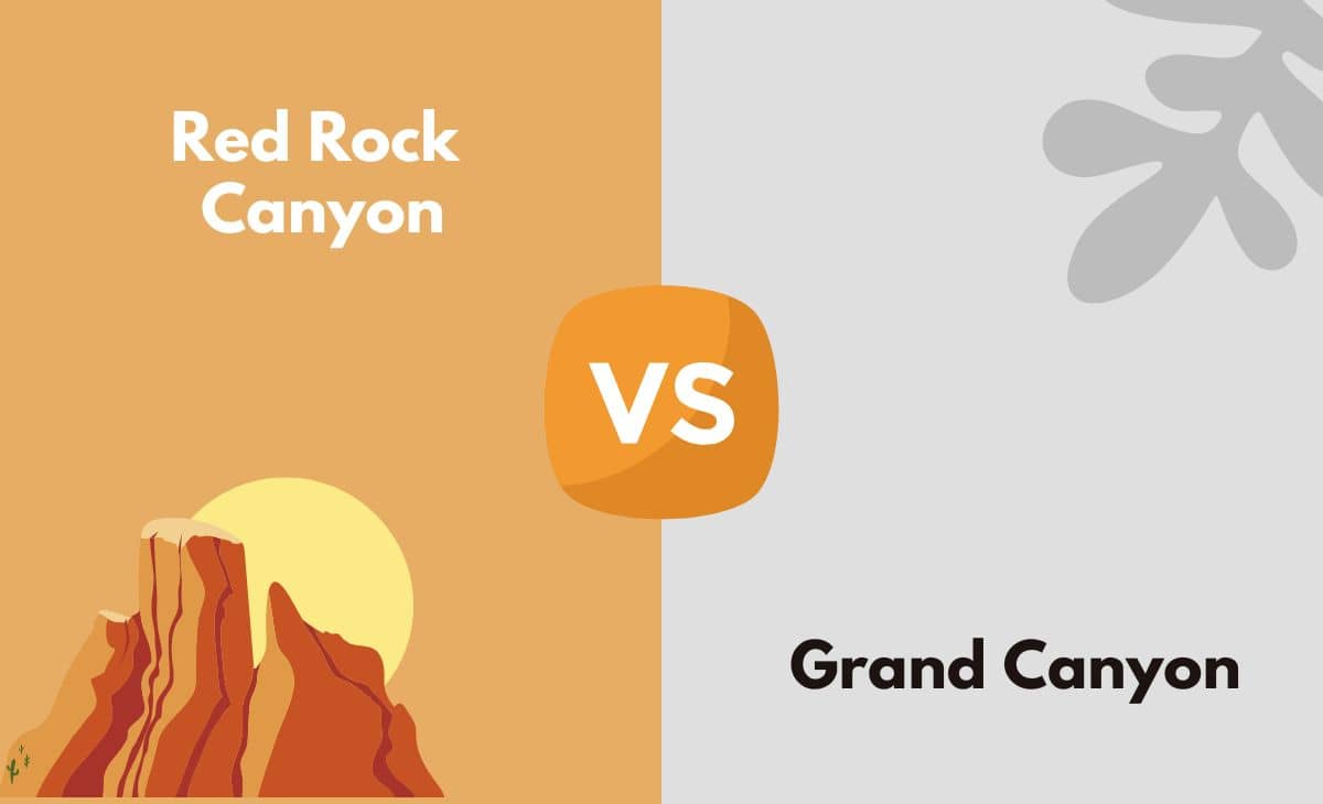 Difference Between Red Rock Canyon and Grand Canyon