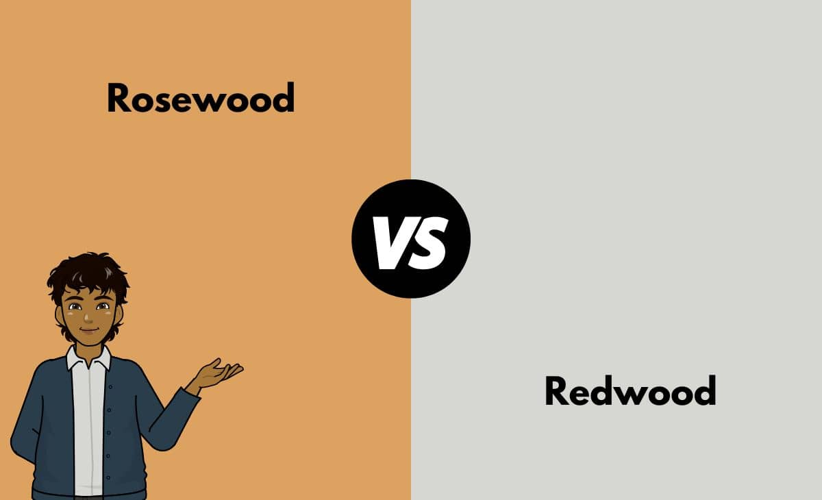 Difference Between Rosewood and Redwood