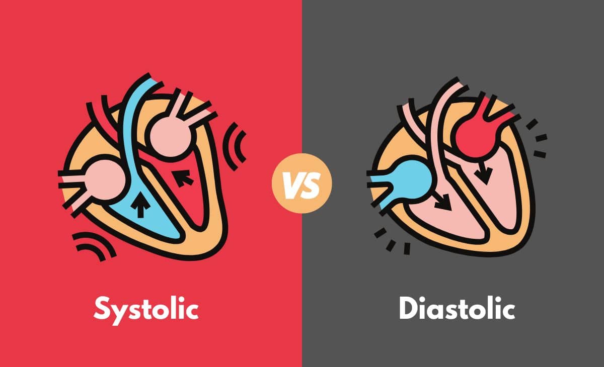 Difference Between Systolic and Diastolic