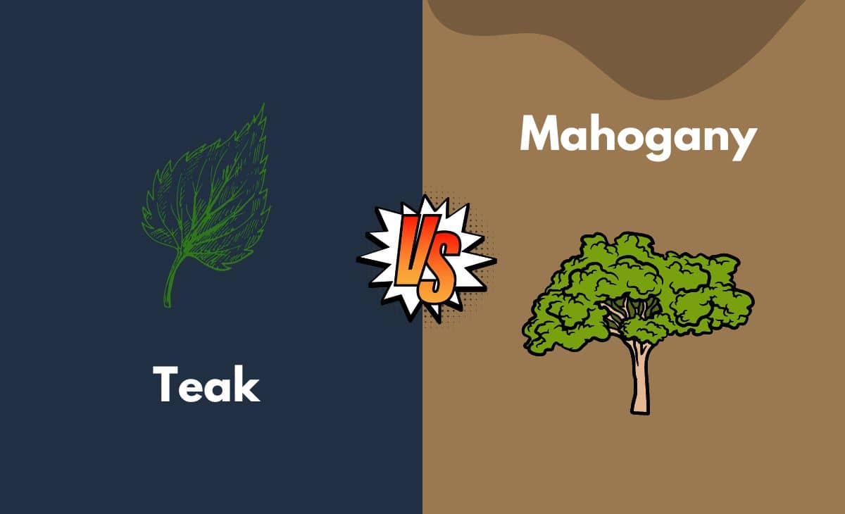 Difference Between Teak and Mahogany