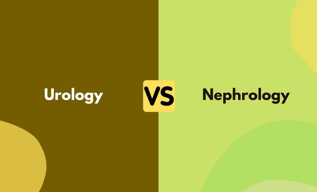 Difference Between Urology and Nephrology