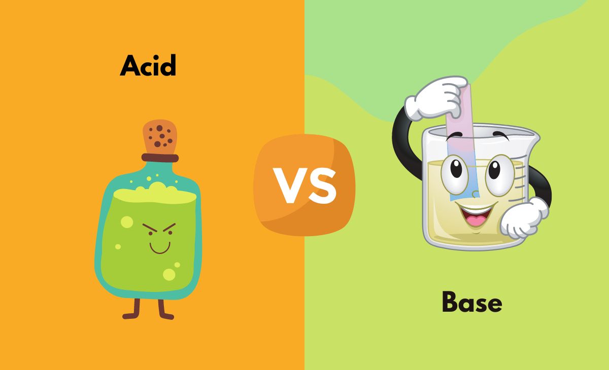 Difference Between Acid and Base