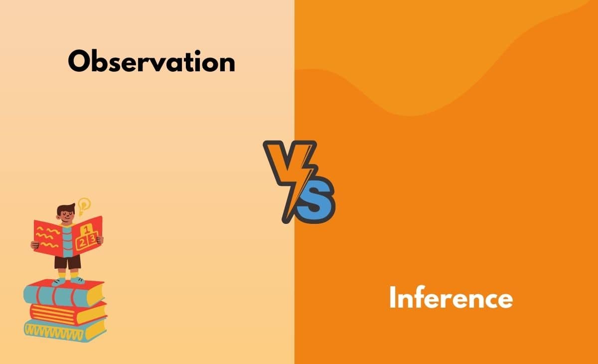 Difference Between an Observation and an Inference