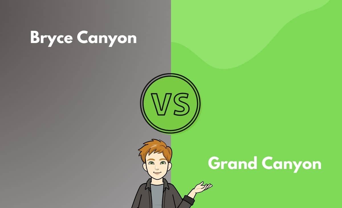 Difference Between Bryce Canyon and Grand Canyon