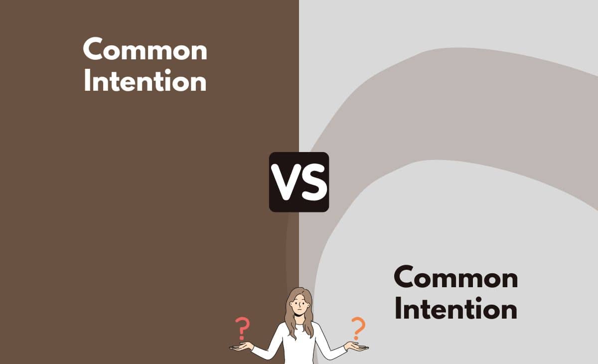 Difference Between Common Intention and Common Object