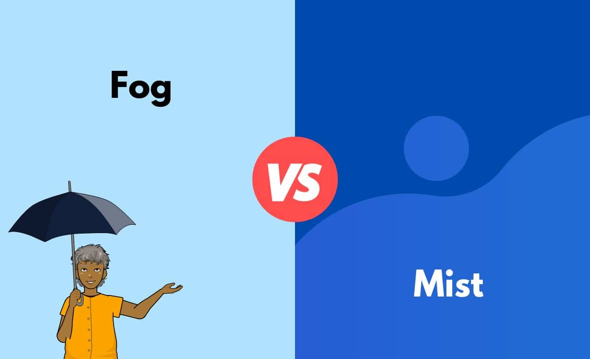 Difference Between Fog and Mist