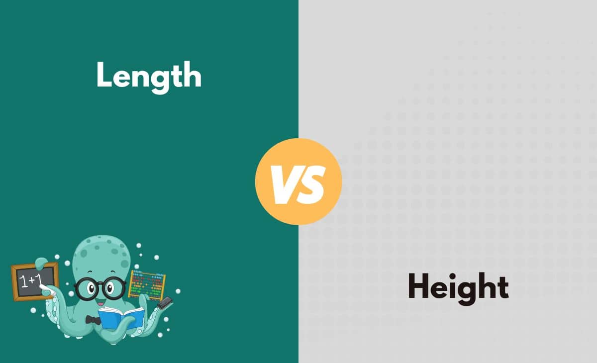 Difference Between Length and Height