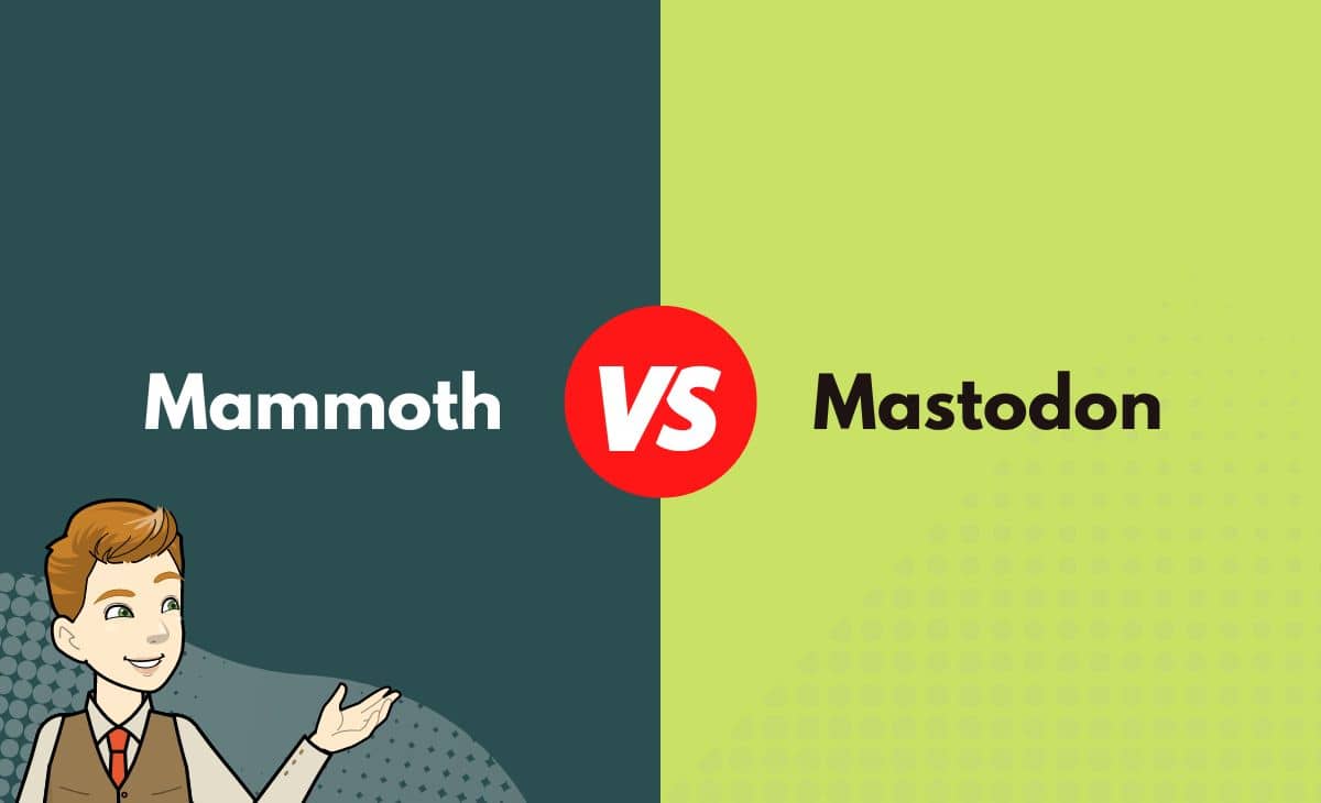 Difference Between Mammoth and Mastodon