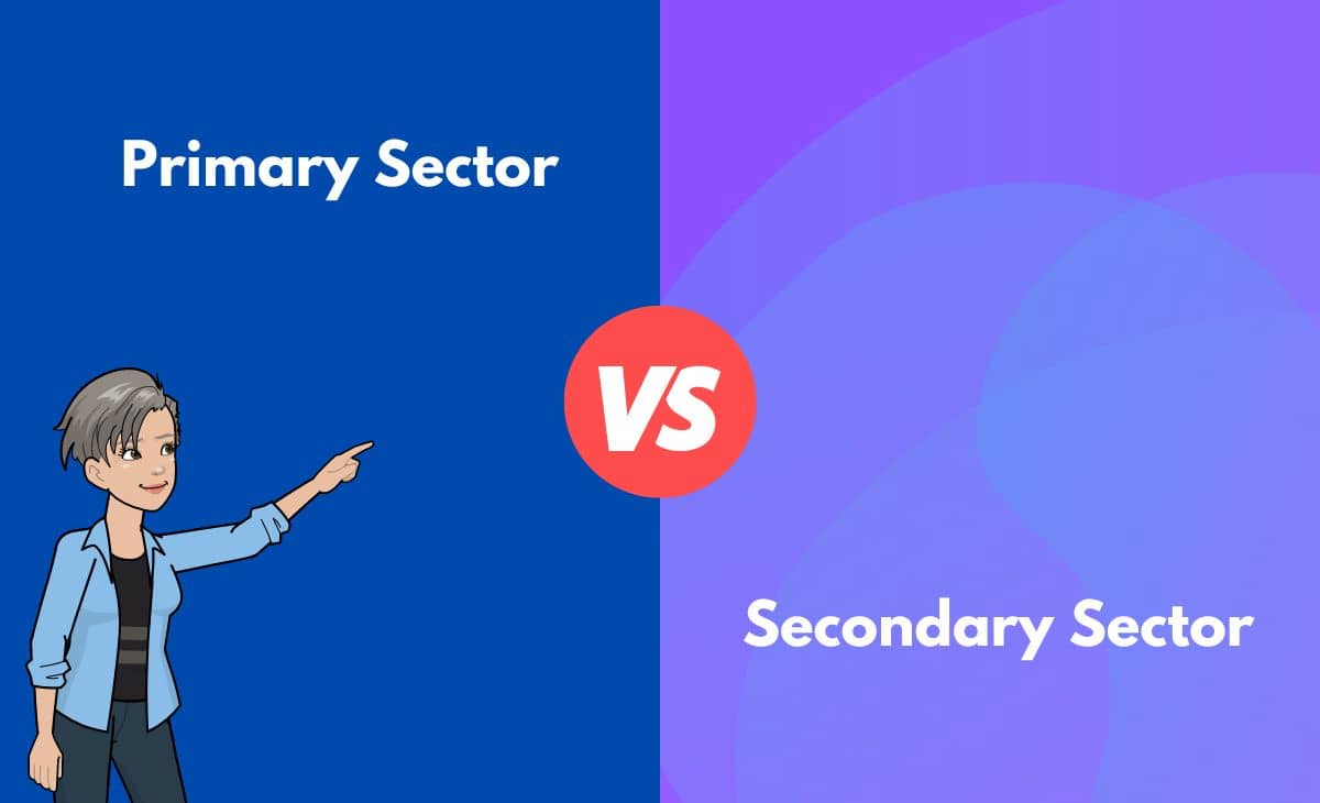Difference Between Primary Sector and Secondary Sector