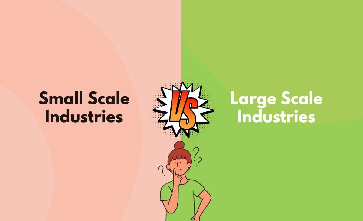 Difference Between Small Scale and Large Scale Industries